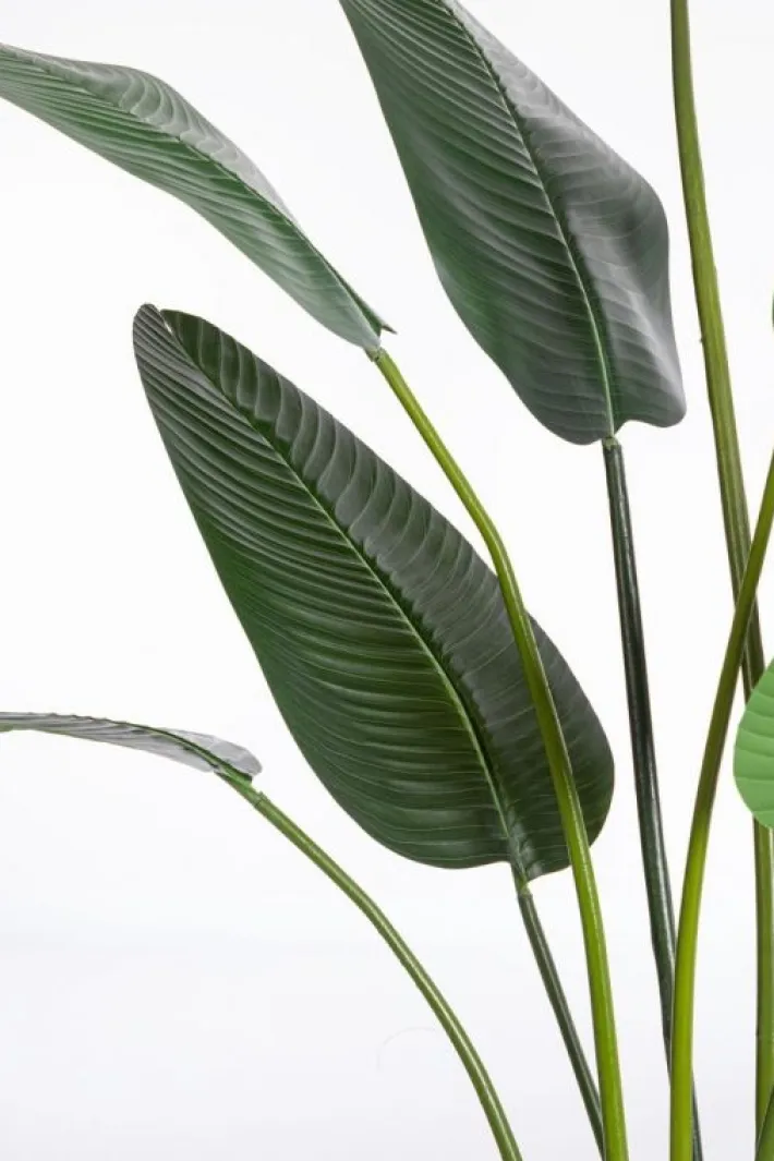 Bizzotto Piante Artificiali>PIANTA STRELITZIA C-VASO 13FOGLIE H235