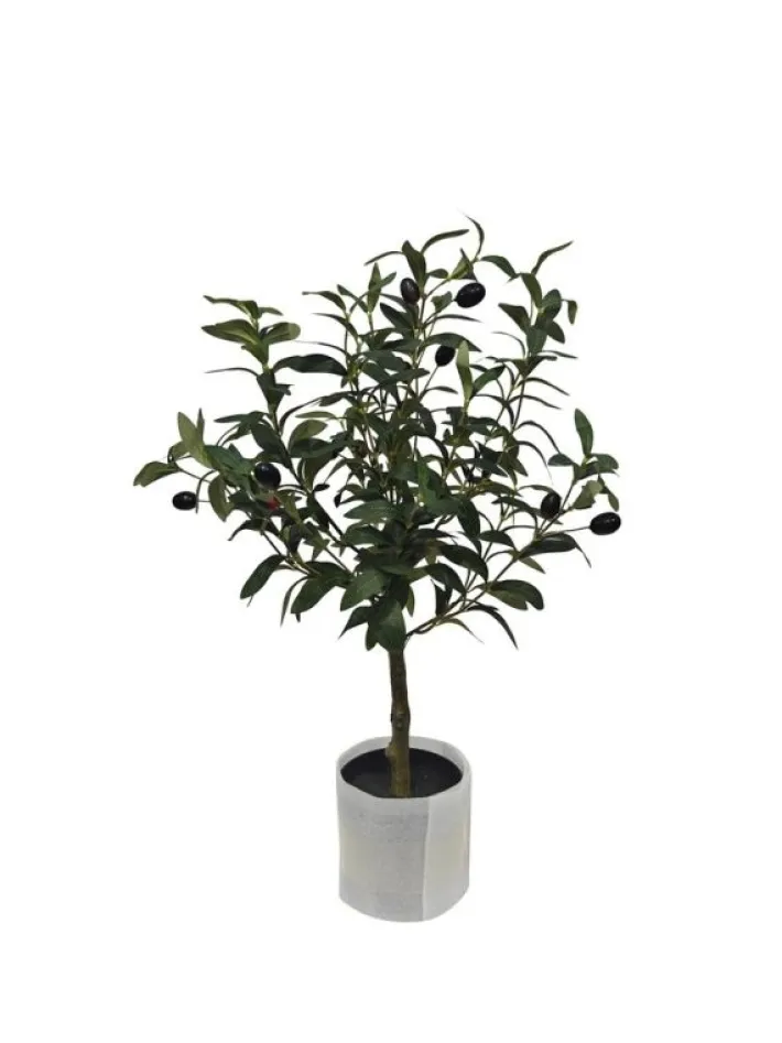 Bizzotto Piante Artificiali>PIANTA ULIVO C-VASO H65