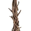 Bizzotto Piantane>PIANTANA BLUMA NERO H180