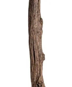 Bizzotto Piantane>PIANTANA KLETA NERO H180