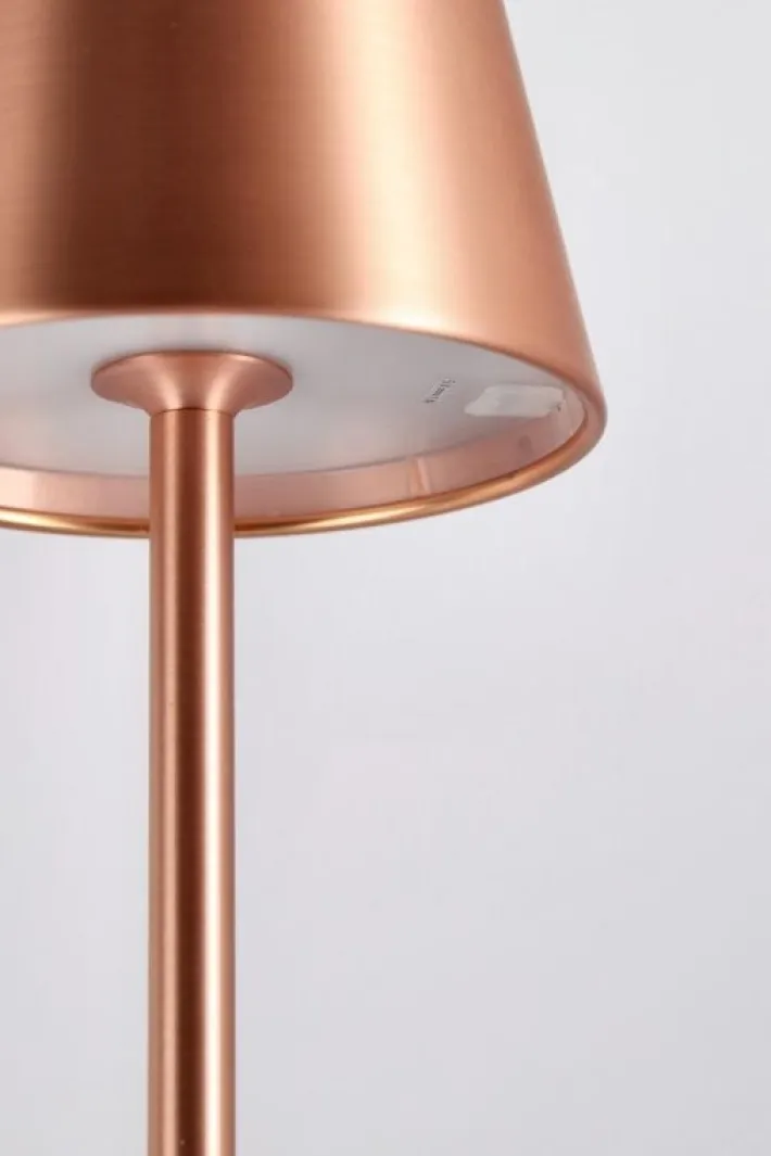 Bizzotto Illuminazione>PIANTANA LED ETNA BRONZO H115