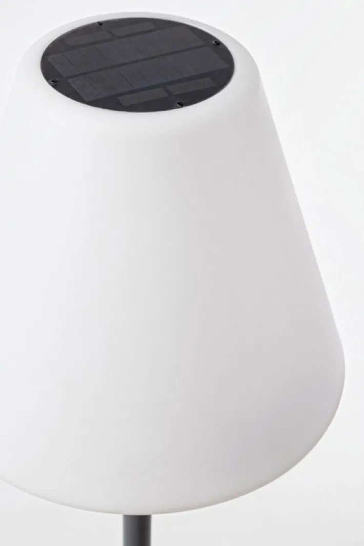 Bizzotto Illuminazione>PIANTANA LED SPEAKER IN PLASTICA - SOLAR