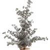 Bizzotto Alberi Decorativi>PINO SNEFFELS GHIACCIATO H90