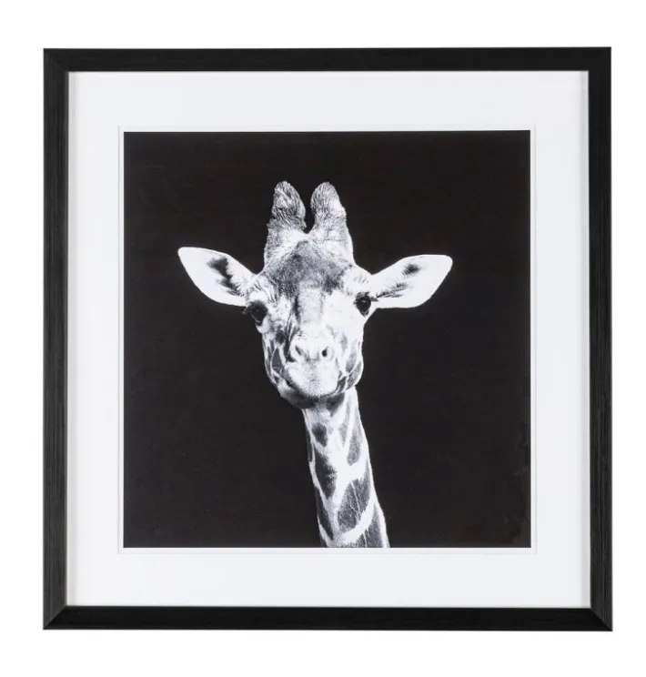 Bizzotto Quadri E Stampe>QUADRO C-C EVIDENCE 107 49X49