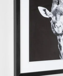 Bizzotto Quadri E Stampe>QUADRO C-C EVIDENCE 107 49X49