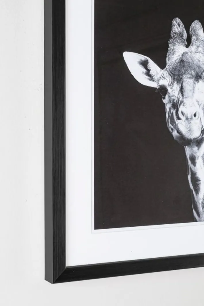 Bizzotto Quadri E Stampe>QUADRO C-C EVIDENCE 107 49X49