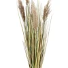 Bizzotto Rami E Corone>RAMO GYNERIUM PAMPAS H100