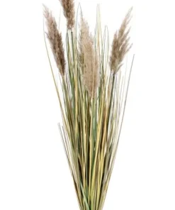 Bizzotto Rami E Corone>RAMO GYNERIUM PAMPAS H100