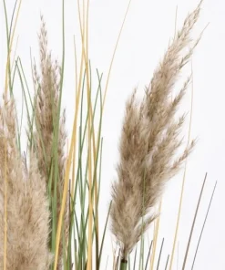 Bizzotto Rami E Corone>RAMO GYNERIUM PAMPAS H100