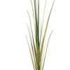 Bizzotto Rami E Corone>RAMO GYNERIUM PAMPAS H140