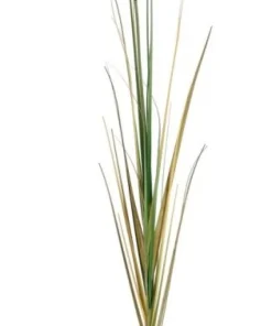 Bizzotto Rami E Corone>RAMO GYNERIUM PAMPAS H140