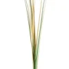 Bizzotto Rami E Corone>RAMO GYNERIUM PAMPAS H110