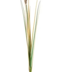 Bizzotto Rami E Corone>RAMO GYNERIUM PAMPAS H110