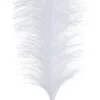 Bizzotto Rami E Corone>RAMO INFINITY PIUME BIANCO H90CM