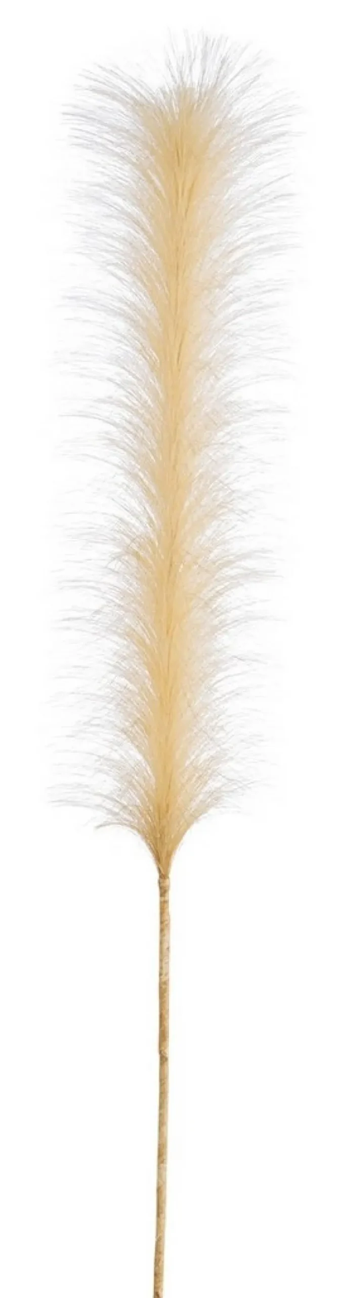 Bizzotto Rami E Corone>RAMO INFINITY PIUME GIALLO H90CM