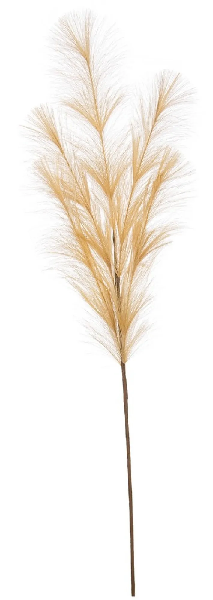 Bizzotto Rami E Corone>RAMO NELLY PAMPAS GIALLO H100