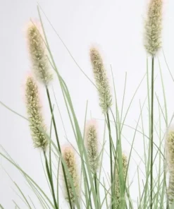 Bizzotto Rami E Corone>RAMO PENNISETUM H100