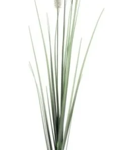 Bizzotto Rami E Corone>RAMO PENNISETUM H120