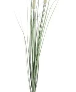 Bizzotto Rami E Corone>RAMO PENNISETUM H150