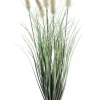Bizzotto Rami E Corone>RAMO PENNISETUM H60
