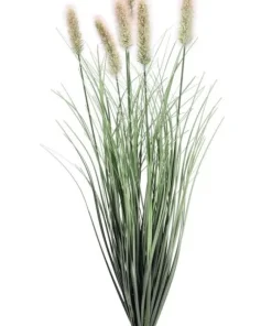 Bizzotto Rami E Corone>RAMO PENNISETUM H60