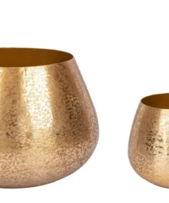 Bizzotto Coprivasi>SET2 P.VASO VARANASI TO ORO