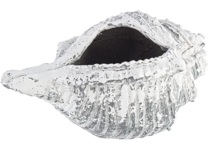 Bizzotto Vasi E Coprivasi>VASO CONCHIGLIA MAGNESIA 68X38