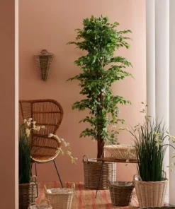 Bizzotto Ceste Decorative><noscript><img width=